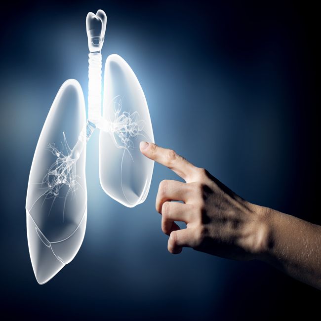 Oplossing COPD dichterbij door ontwikkeling minilong